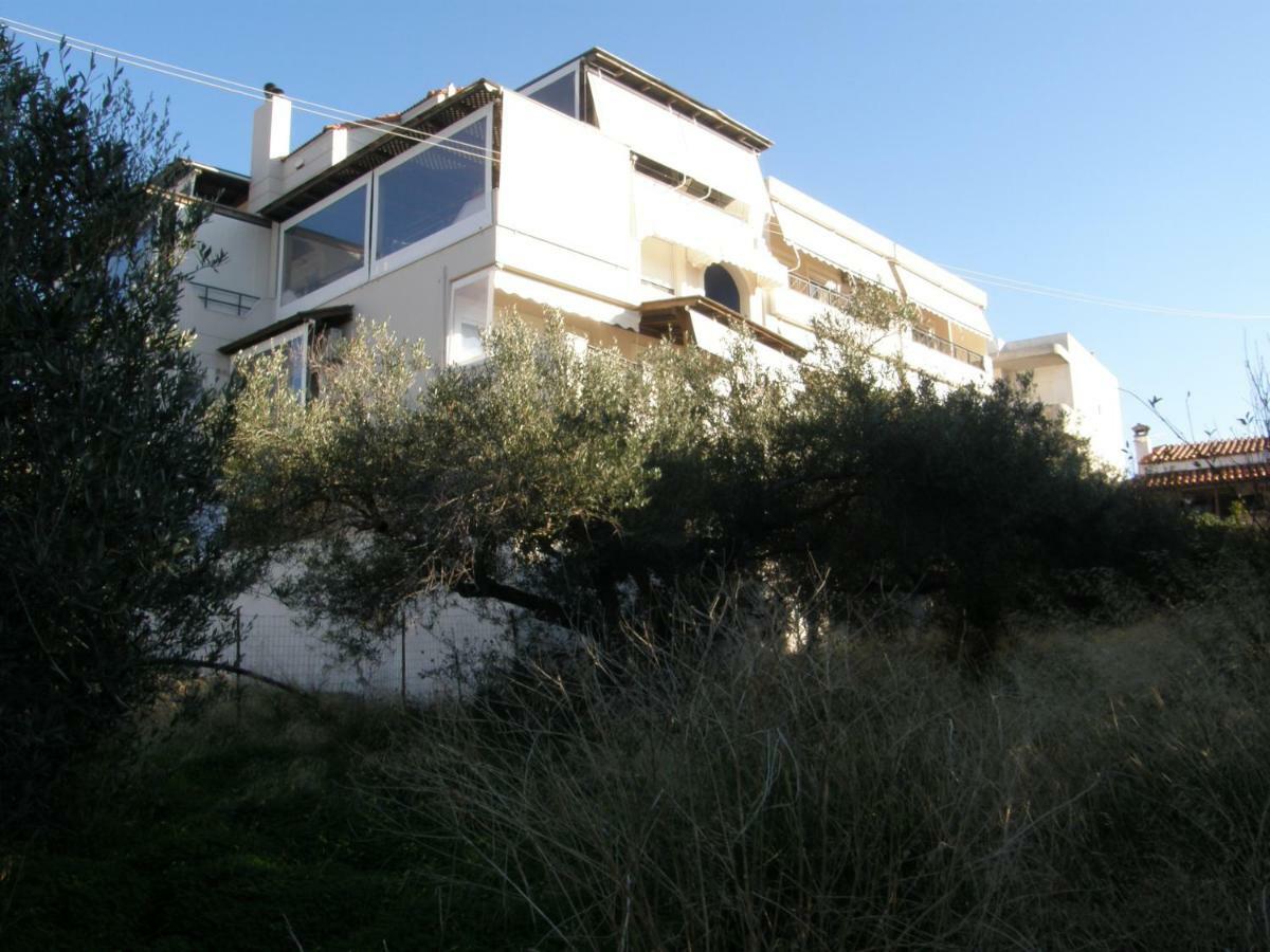 Christi Apartments Α&Β Kokkini Hani Eksteriør bilde